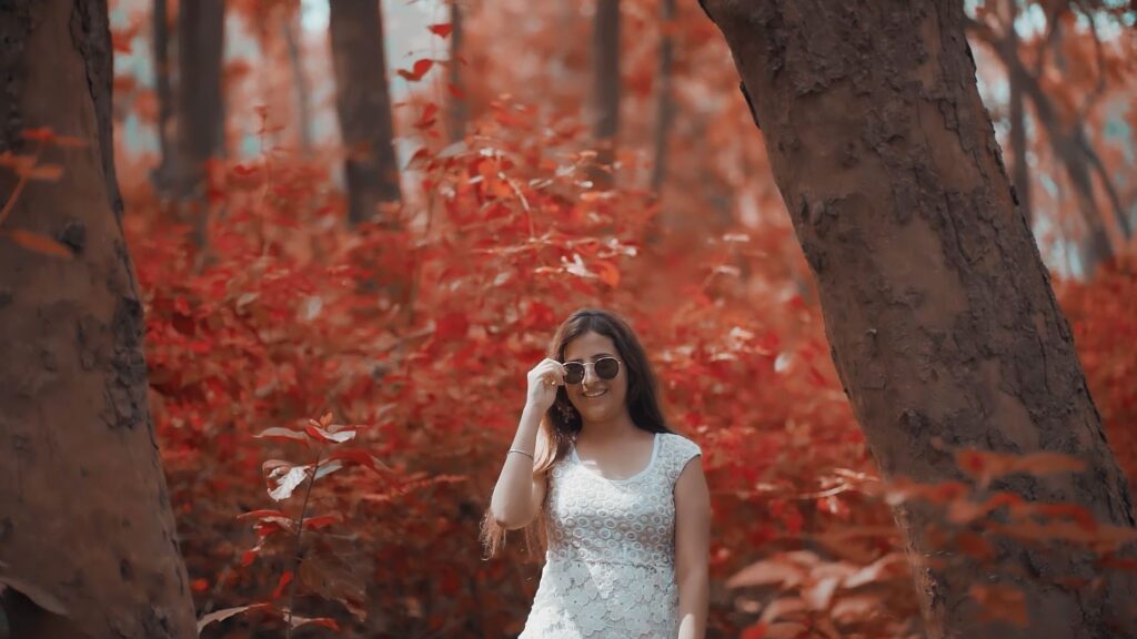 Gry Indian Effects and Lut