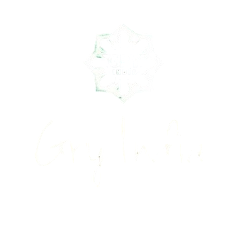 Get Unlimited LUTs – Effects – Project Download